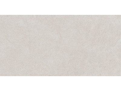 LN00 60x120x10 Непол.Рект. White
