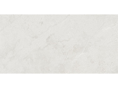 MA01 60x120x10 Полир. Grey
