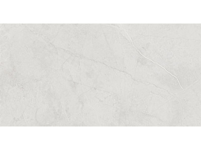 MA01 60x120х10 Непол.Рект. Grey
