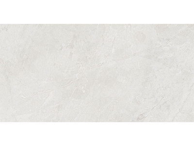 MA01 60x120x10 Полир. Grey
