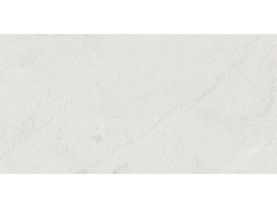 MA01 60x120x10 Полир. Grey
