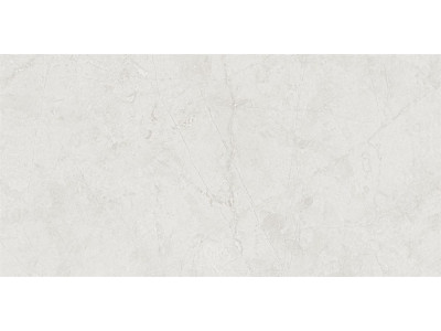 MA01 60x120x10 Полир. Grey
