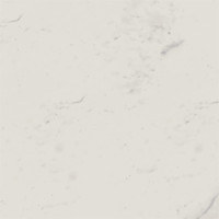 Керамогранит MO01 40,5x40,5х8 Непол. (43,296 м2) White
