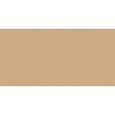 RW15 60x120x10 Непол.Рект. Beige
