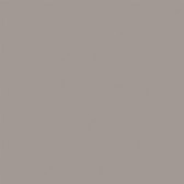 RW03 30x30 Непол. Light Grey
