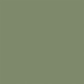 RW06 60x60 Непол.Рект. Green
