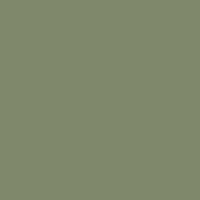 Керамогранит RW06 60x60 Непол.Рект. Green
