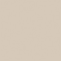 Керамогранит RW01 60x60 Непол.Рект. Ivory
