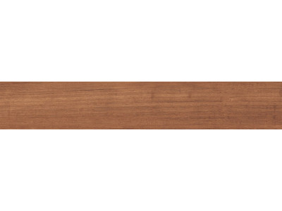 SI02 19,4х120х10 Непол.Рект. Eucalyptus
