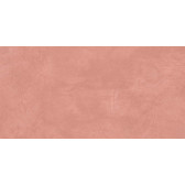 SR05 60x120х10 Непол.Рект. Salmon
