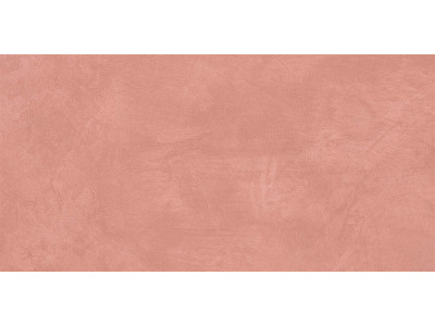SR05 60x120х10 Непол.Рект. Salmon
