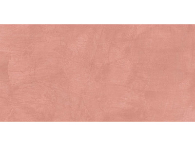 SR05 60x120х10 Непол.Рект. Salmon
