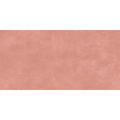 SR05 60x120х10 Непол.Рект. Salmon
