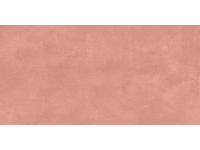 SR05 60x120х10 Непол.Рект. Salmon
