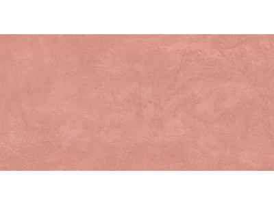 SR05 60x120х10 Непол.Рект. Salmon
