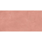 SR05 60x120х10 Непол.Рект. Salmon
