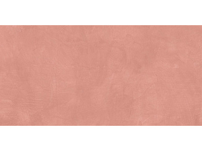 SR05 60x120х10 Непол.Рект. Salmon
