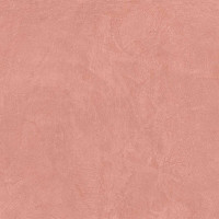 Керамогранит SR05 60x60х10 Непол.Рект. Salmon
