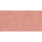 SR05 60x120х10 Непол.Рект. Salmon
