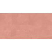SR05 60x120х10 Непол.Рект. Salmon
