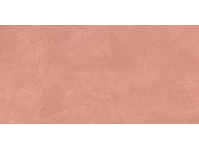 SR05 60x120х10 Непол.Рект. Salmon
