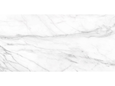 SM01 60x120x10 Непол.Рект. Platinum
