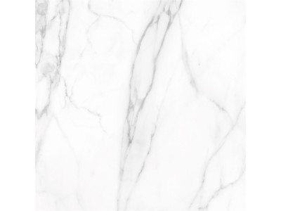 SM01 60x60x10 Непол.Рект. Platinum

