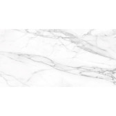 SM01 60x120x10 Непол.Рект. Platinum
