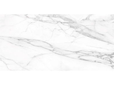 SM01 60x120x10 Непол.Рект. Platinum
