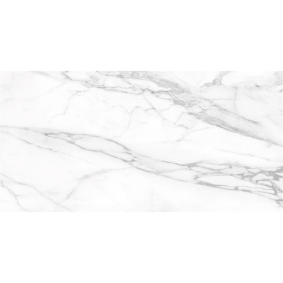 SM01 60x120x10 Непол.Рект. Platinum
