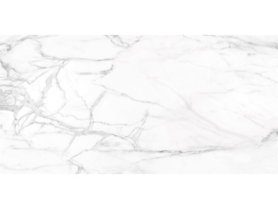 SM01 60x120x10 Непол.Рект. Platinum
