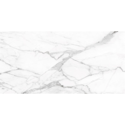 SM01 60x120x10 Непол.Рект. Platinum
