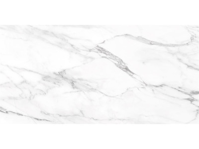 SM01 60x120x10 Непол.Рект. Platinum
