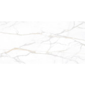 SM02 60x120x10 Полир. Gold
