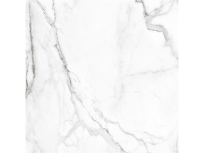 SM01 60x60x10 Непол.Рект. Platinum

