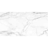 SM01 60x120x10 Непол.Рект. Platinum
