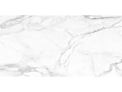 SM01 60x120x10 Непол.Рект. Platinum
