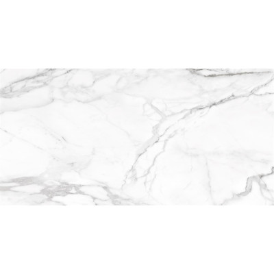SM01 60x120x10 Непол.Рект. Platinum
