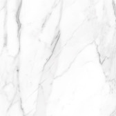SM01 60x60x10 Полир. Platinum
