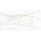 SM02 60x120x10 Непол.Рект. Gold

