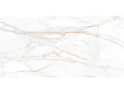 SM02 60x120x10 Непол.Рект. Gold
