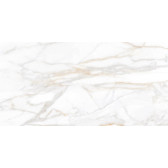 SM02 60x120x10 Полир. Gold
