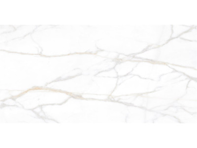 SM02 60x120x10 Непол.Рект. Gold
