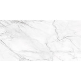 SM01 60x120x10 Непол.Рект. Platinum
