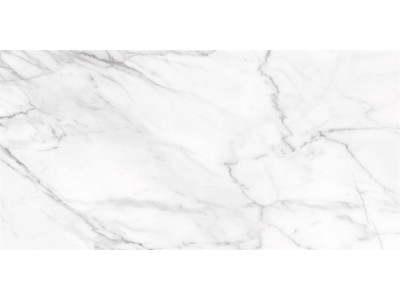 SM01 60x120x10 Непол.Рект. Platinum
