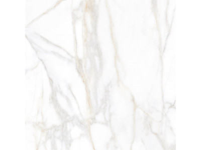 SM02 60x60x10 Непол.Рект. Gold
