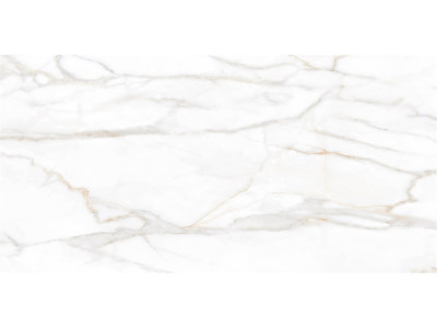 SM02 60x120x10 Полир. Gold
