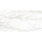 SM02 60x120x10 Непол.Рект. Gold
