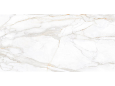 SM02 60x120x10 Непол.Рект. Gold
