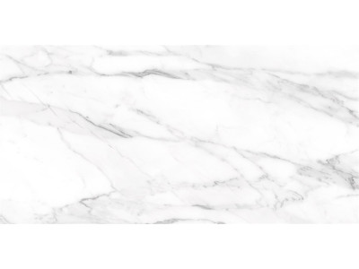 SM01 60x120x10 Непол.Рект. Platinum

